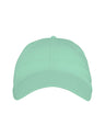 Dusty Mint