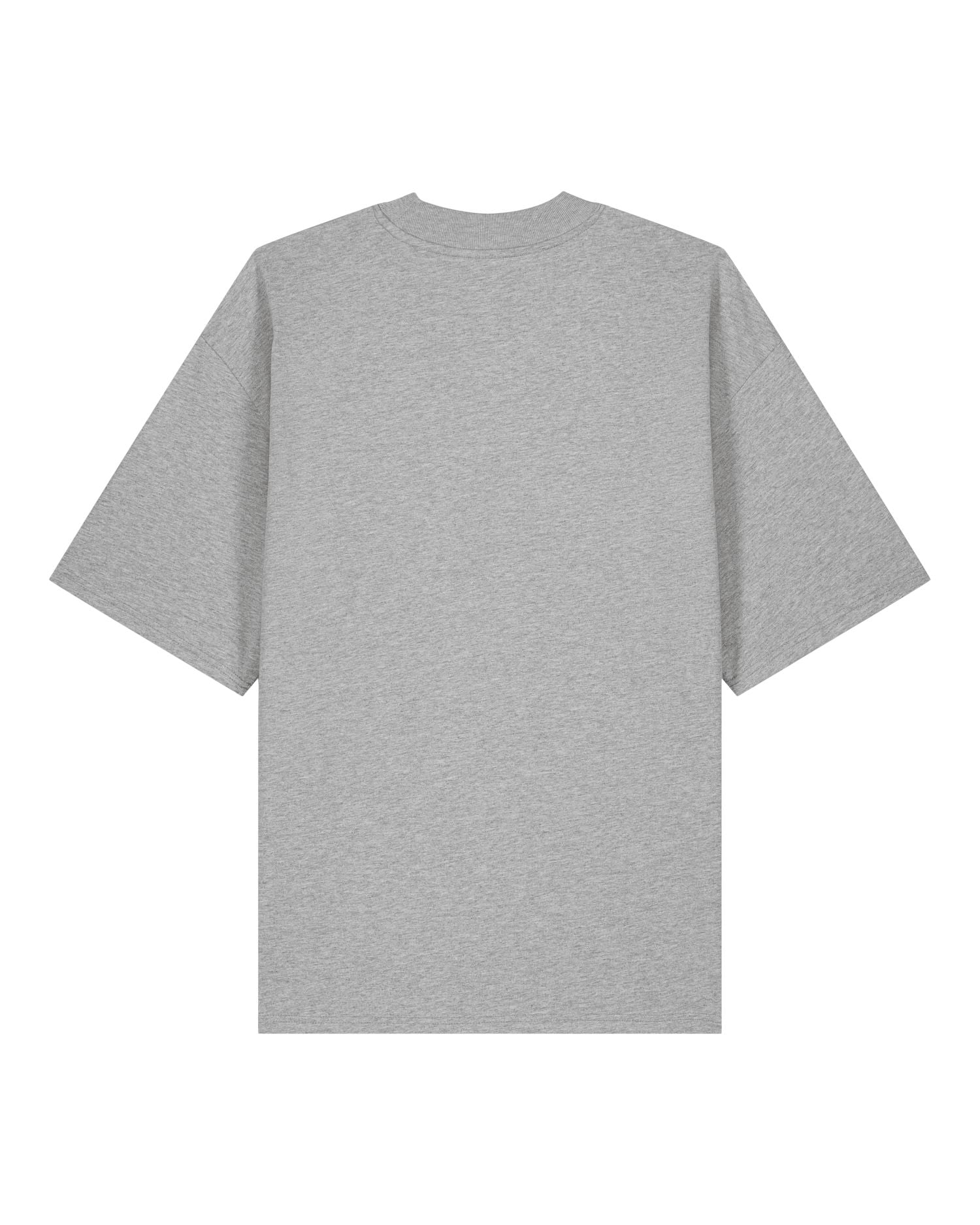 C250-PACKSHOT MAIN BACK