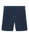 French Navy
