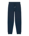 French Navy
