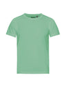 Dusty Mint