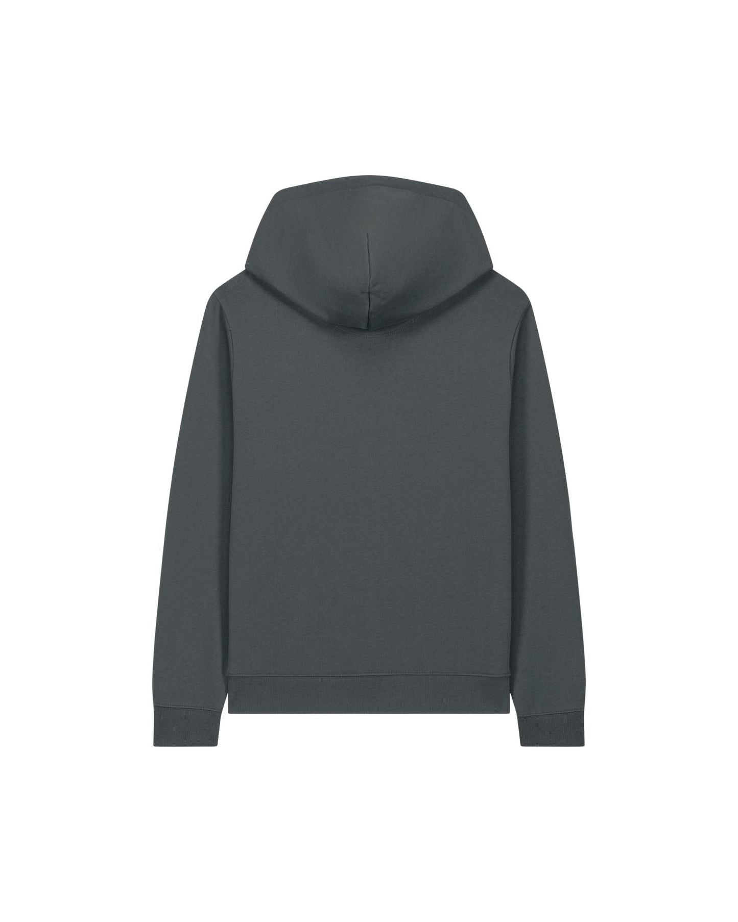 Stanley/Stella Hoodie Stella Gamechanger