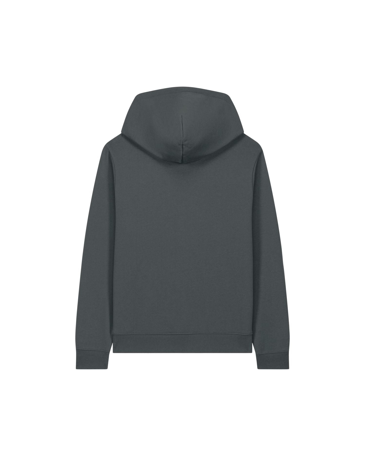 Stanley/Stella Hoodie Stella Gamechanger