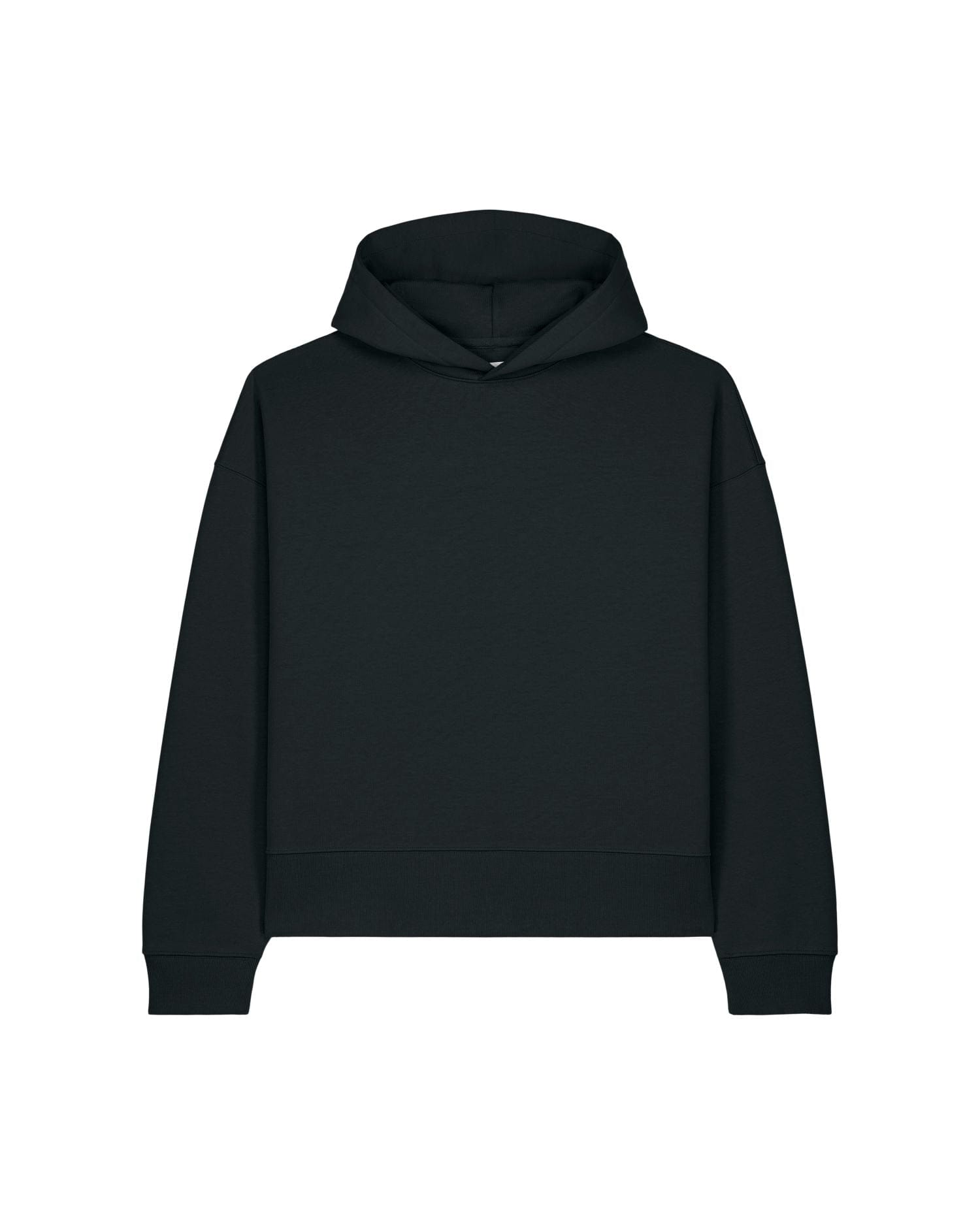 Stanley/Stella Hoodie Black / XXS Voicer