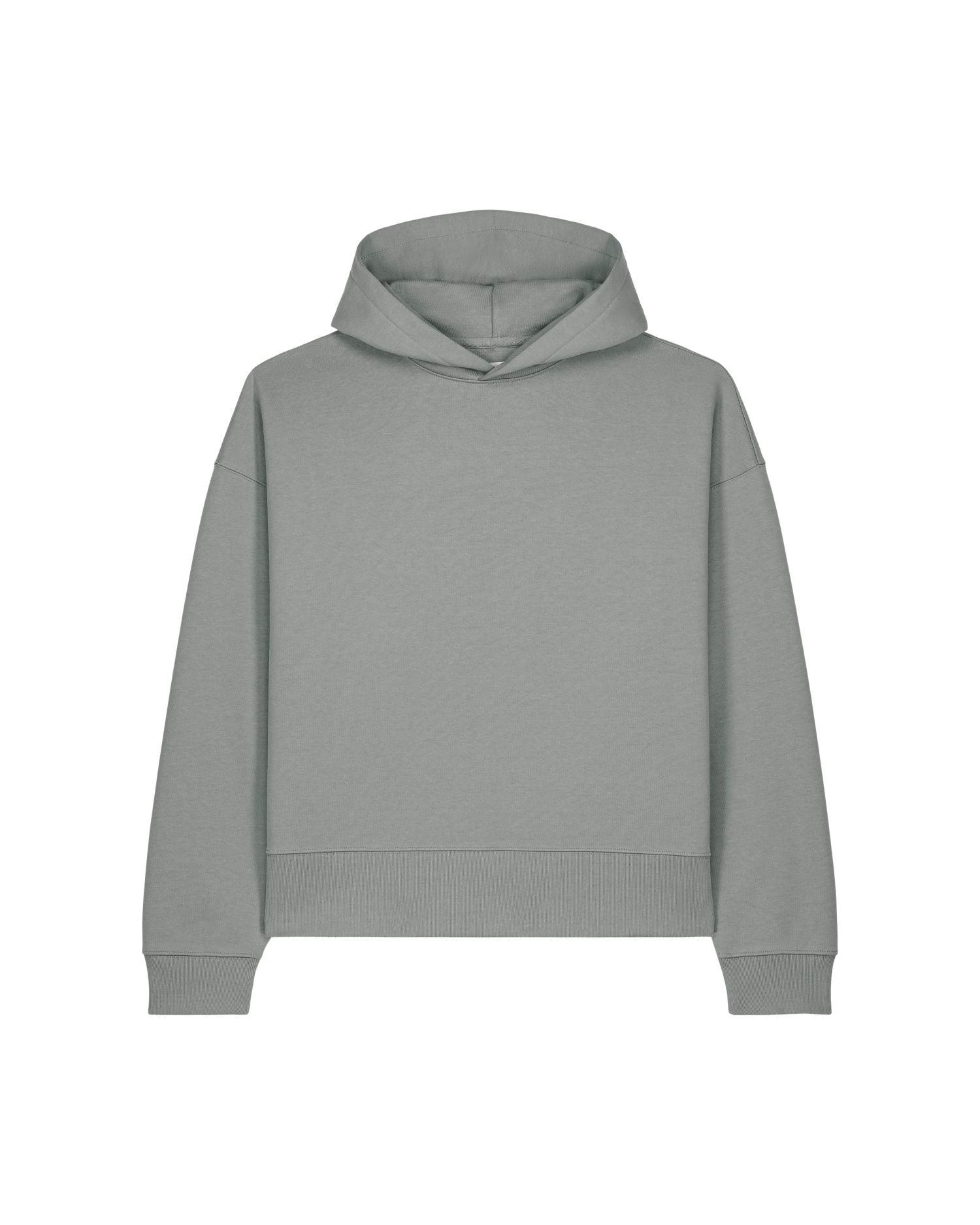 Stanley/Stella Hoodie Misty Grey / XXS Voicer