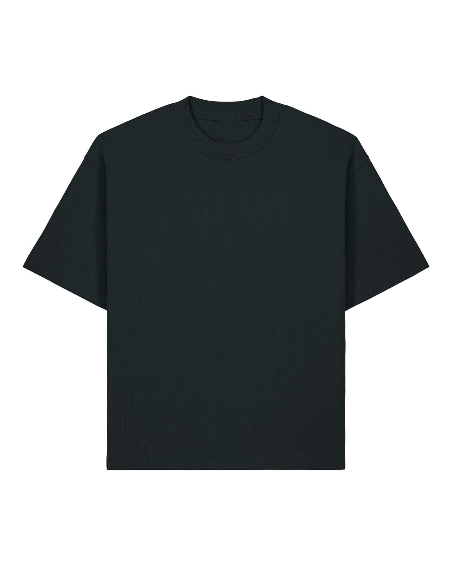 Stanley/Stella T-Shirt Black / XXS Asher