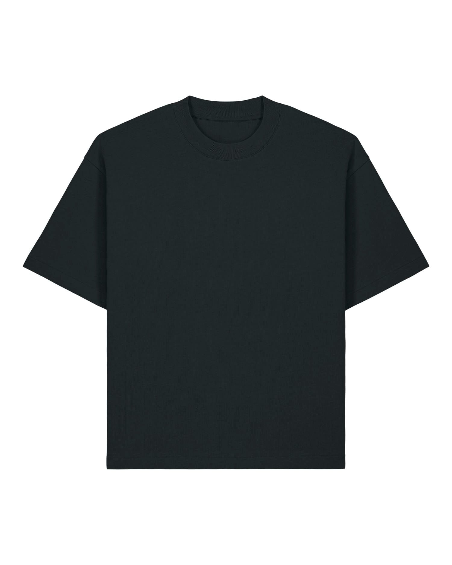 Stanley/Stella T-Shirt Black / XXS Asher
