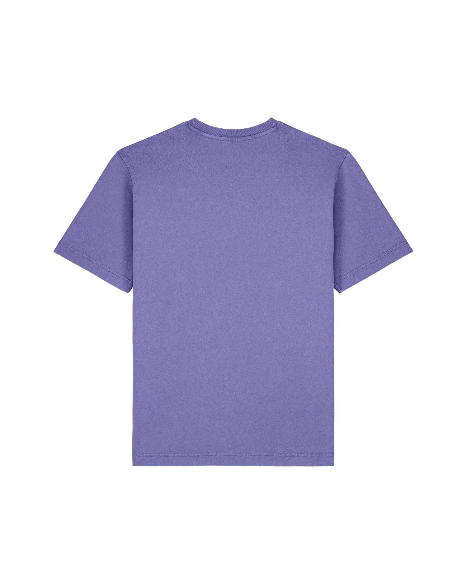 Stanley/Stella T-Shirt Freestyler Vintage