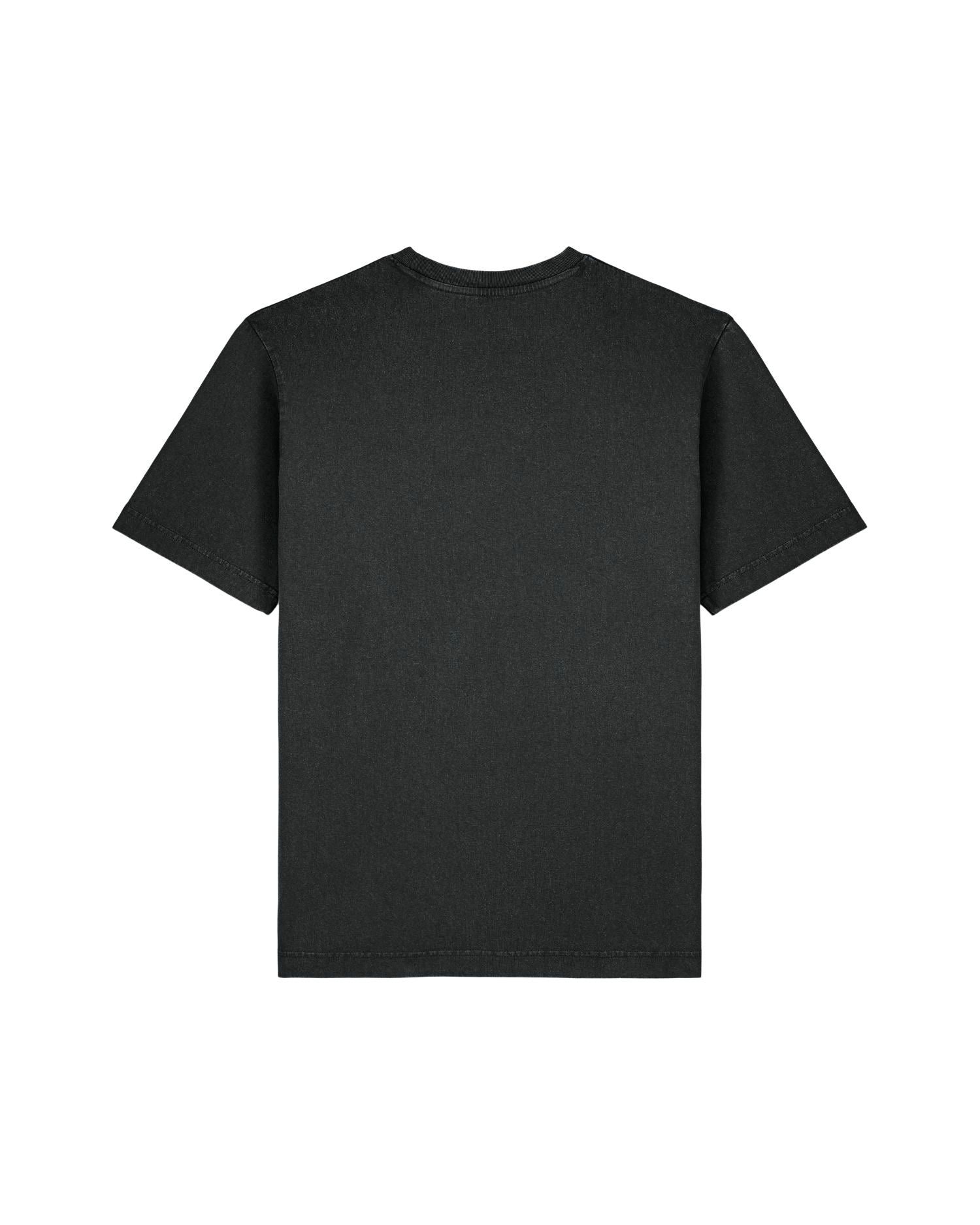 Stanley/Stella T-Shirt Freestyler Vintage