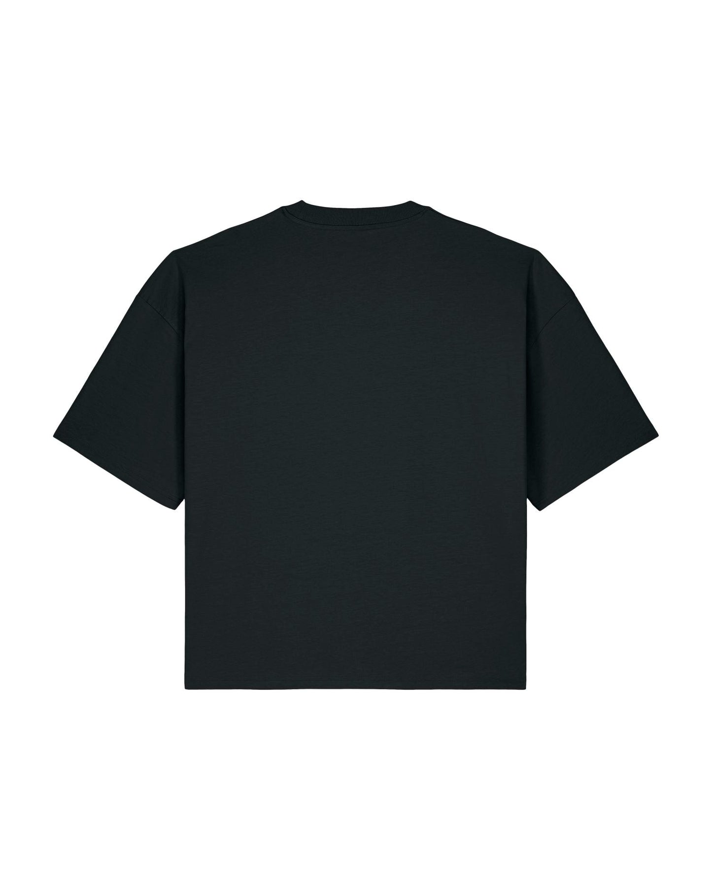 Stanley/Stella T-Shirt Hypster