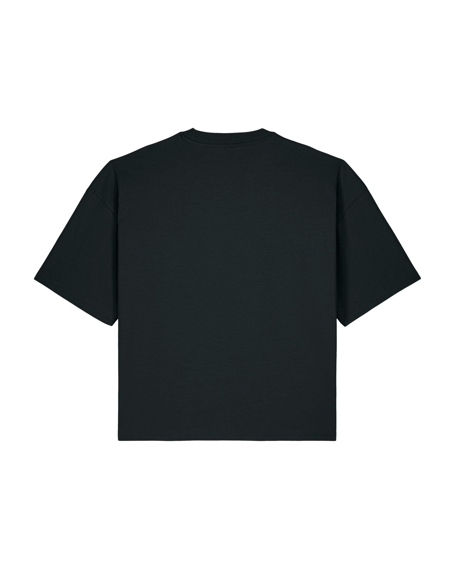 Stanley/Stella T-Shirt Hypster