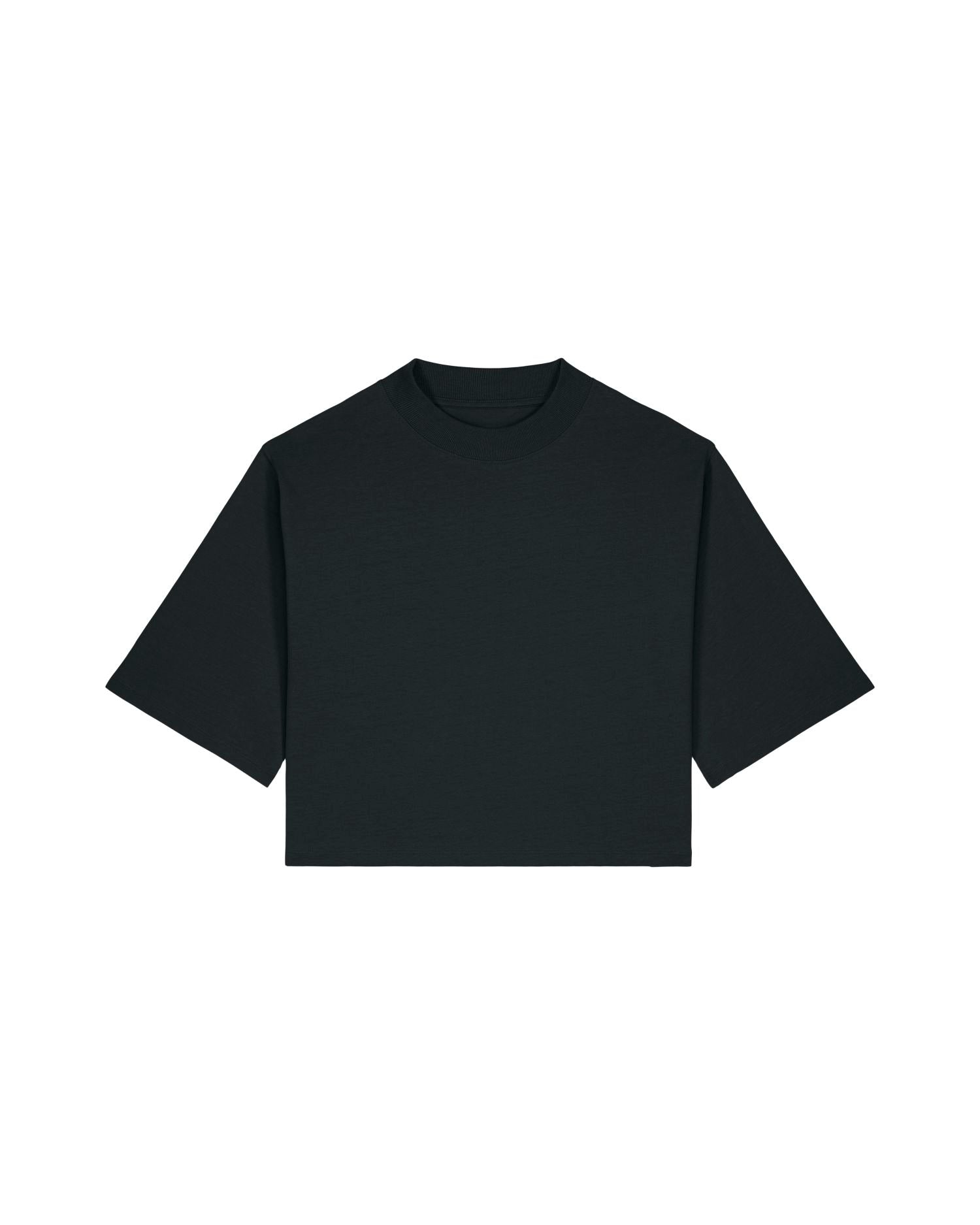 Stanley/Stella T-Shirt Black / XS Stella Raya